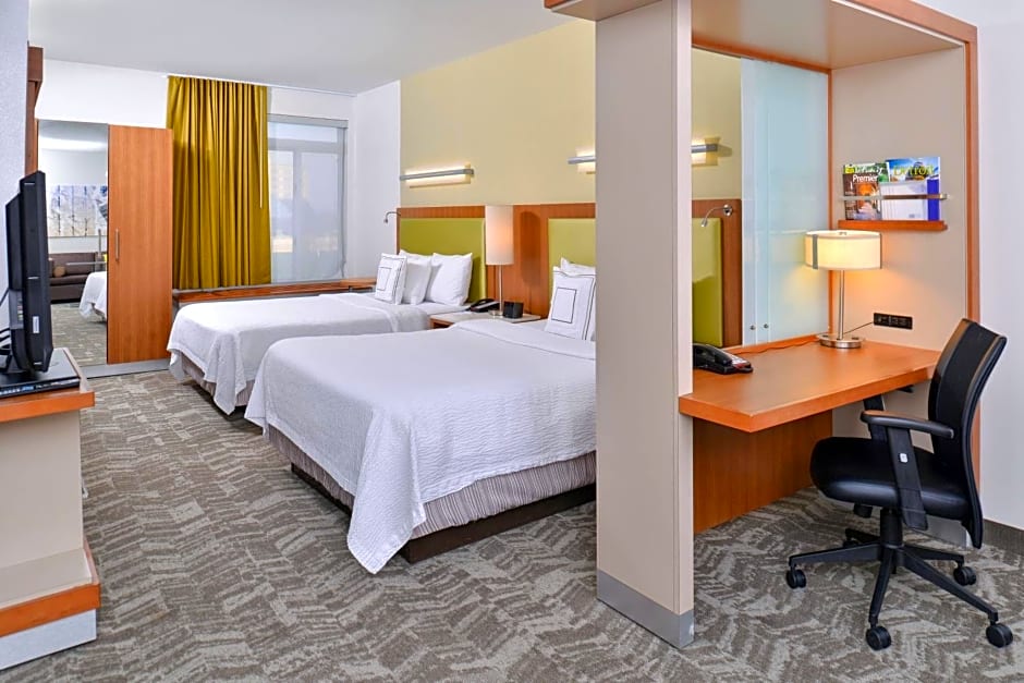 SpringHill Suites by Marriott Detroit Metro Airport Romulus