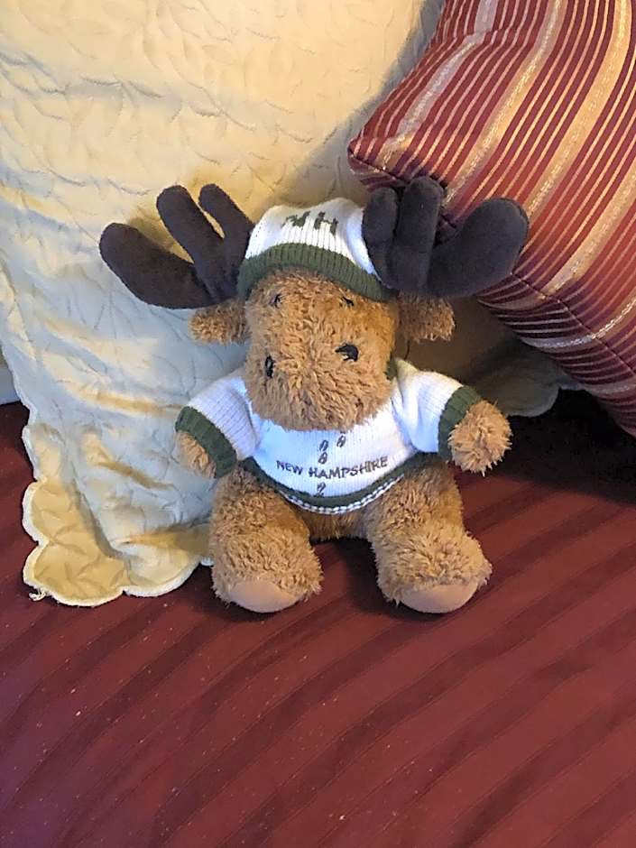 Red Elephant Inn Bed And Breakfast