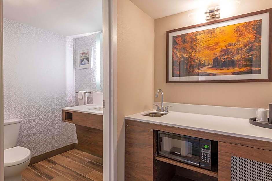 Hampton Inn Manchester Downtown