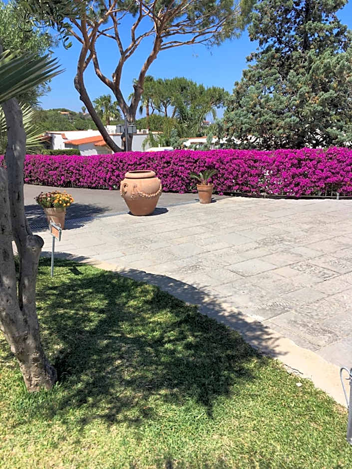 Poggio Aragosta Hotel & Spa