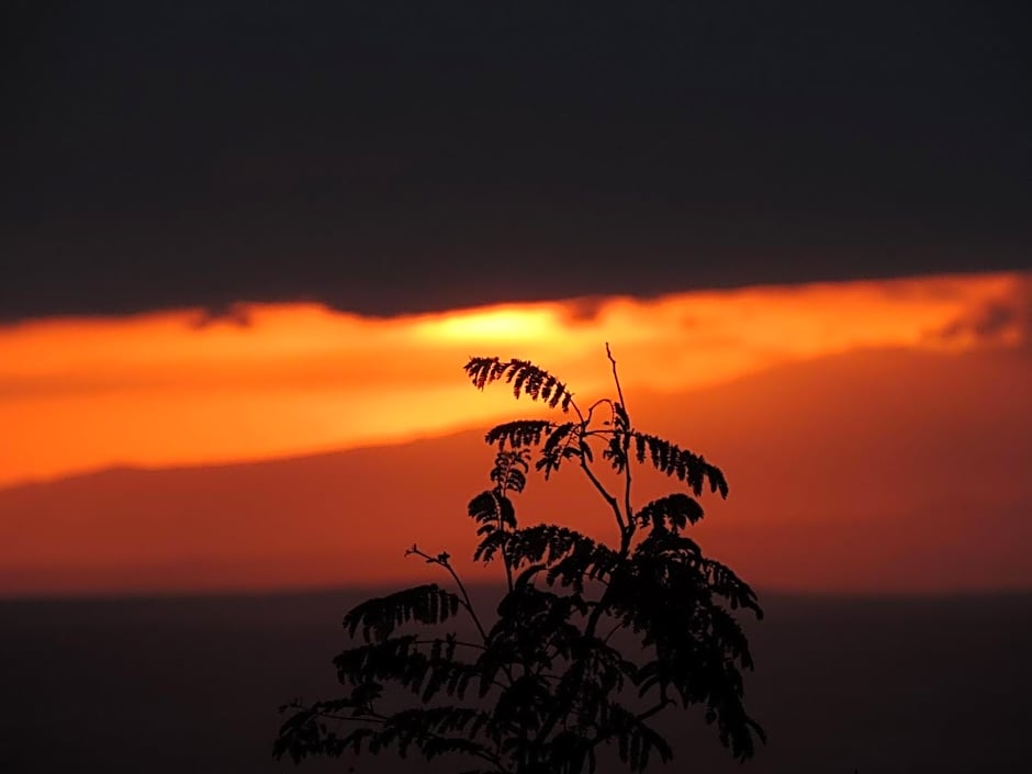 African Sunrise Lodge and Campsite