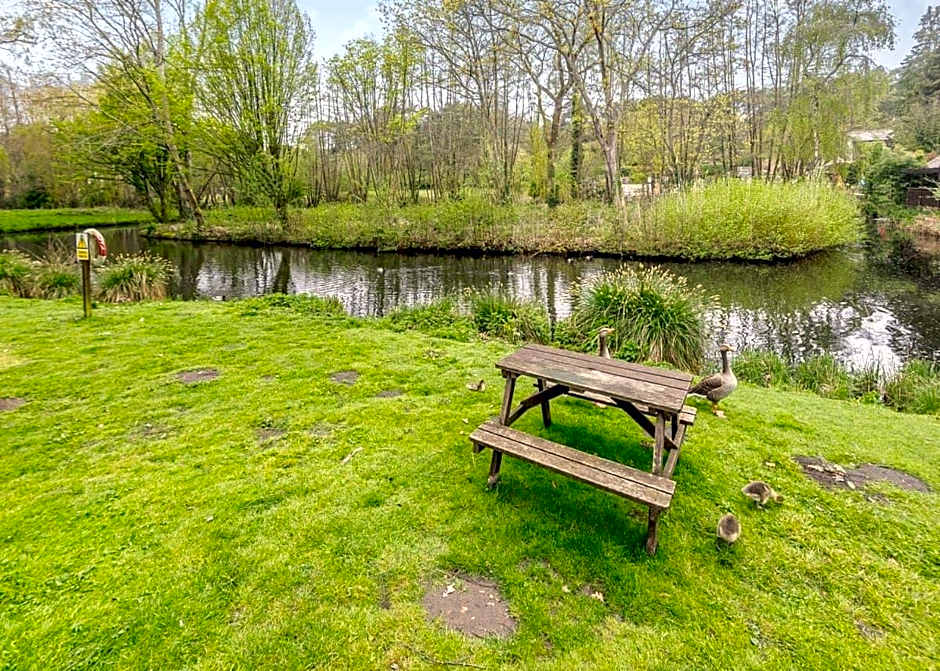 Tilford Woods Lodge Retreat