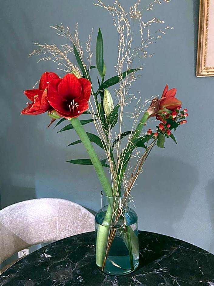 Résidence Ti An Amiral