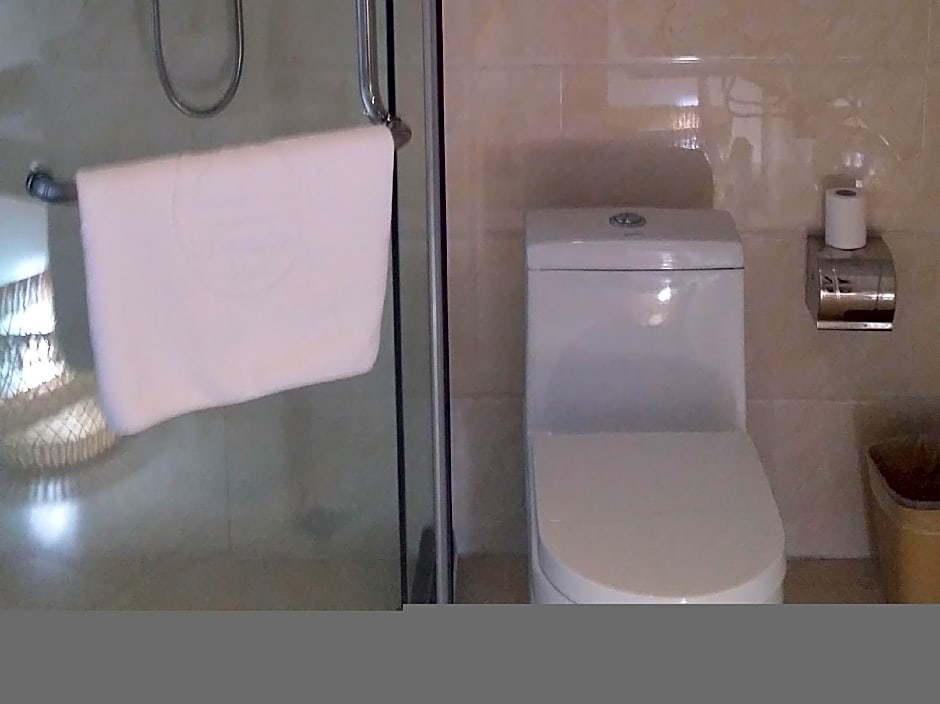 GreenTree Inn Shandong Dezhou Qihe County Party Committee Qilu Street Express Hotel