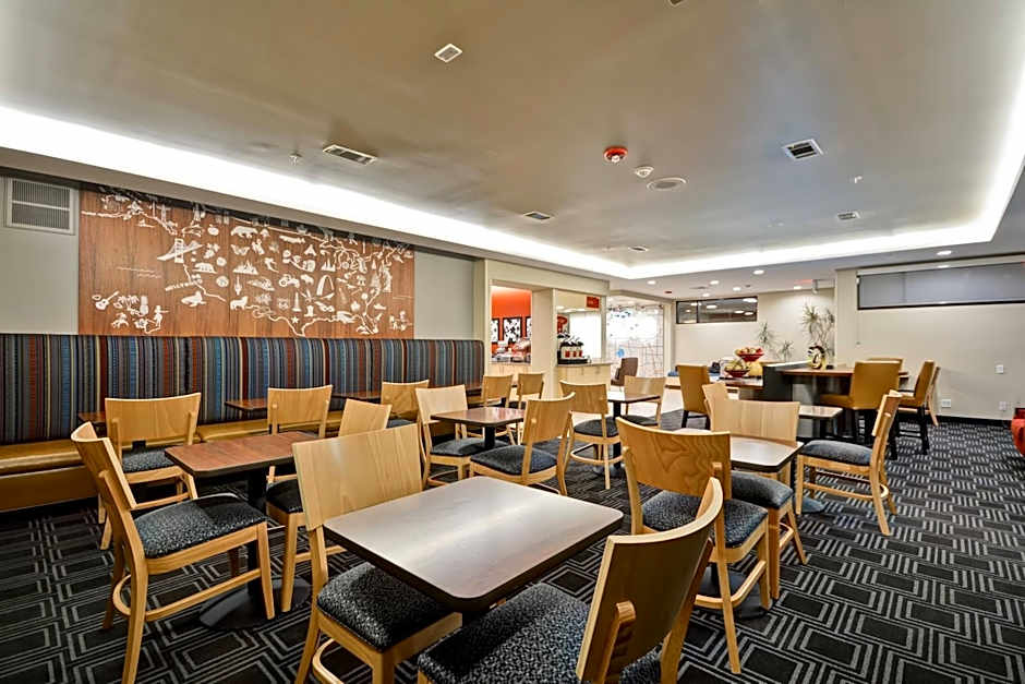 TownePlace Suites by Marriott Dallas Lewisville
