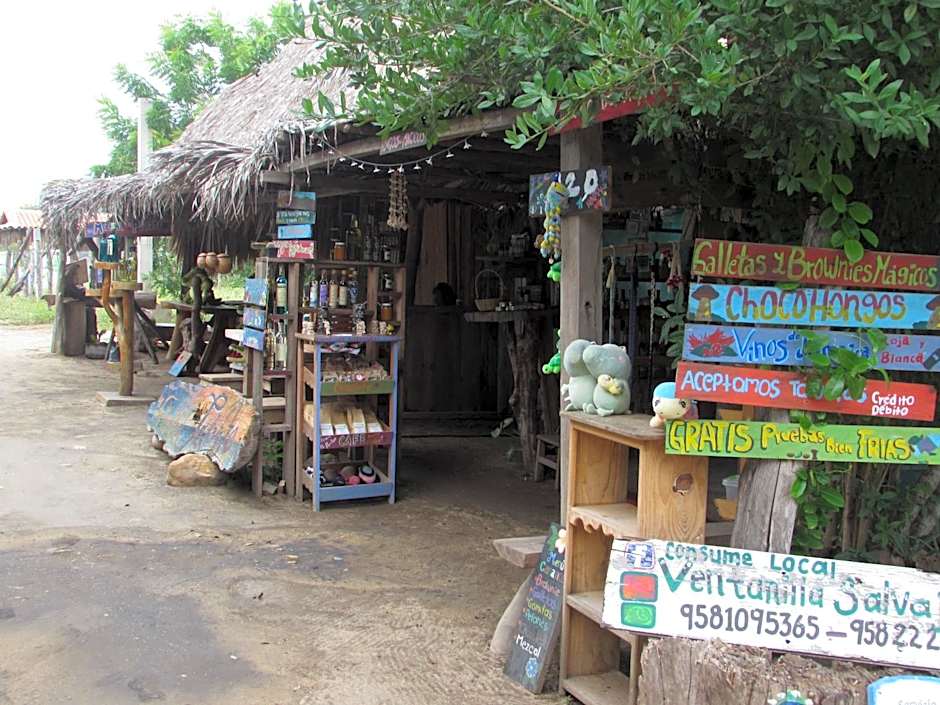 Hab #8 La Casa Del Profe Salo