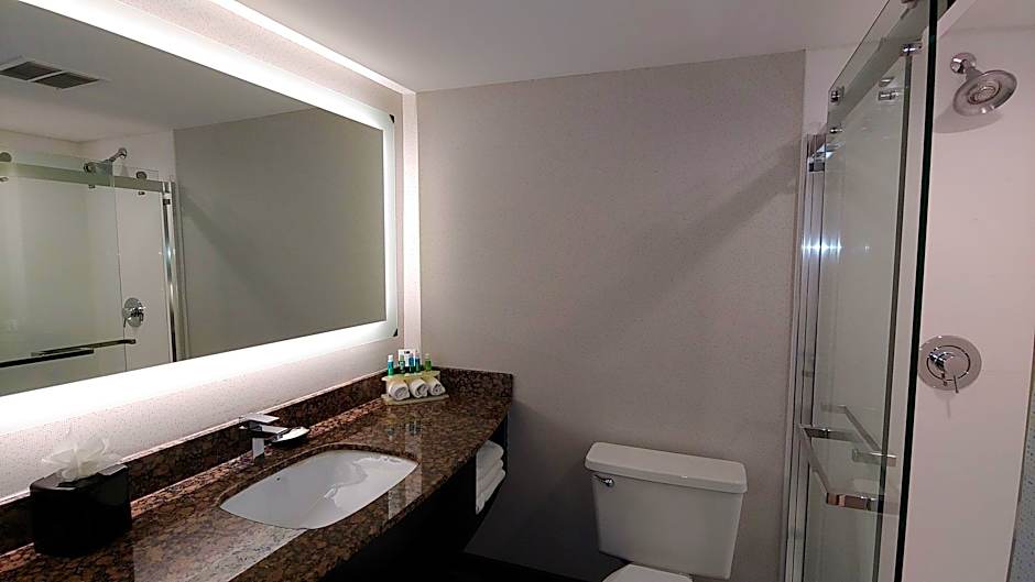 Holiday Inn Express Schaumburg-Rolling Meadows By IHG