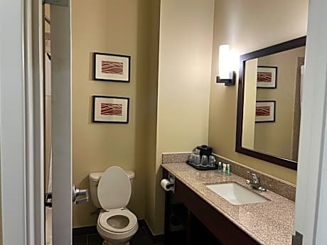 1 King Bed, Mobility Accessible Room, Bathtub w/ Grab Bars, Non-Smoking