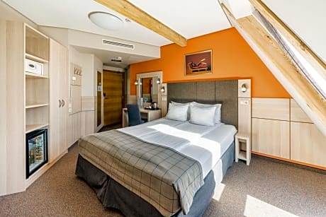 Mansard Double or Twin Room with City View