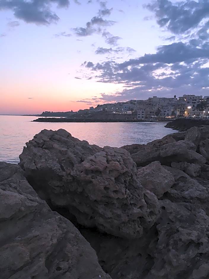 Oikos Selinunte Guest House