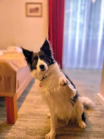 Hotel Mikulášska Chata