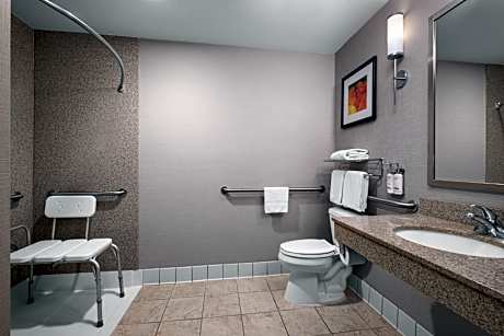 Queen Suite - Disability Access