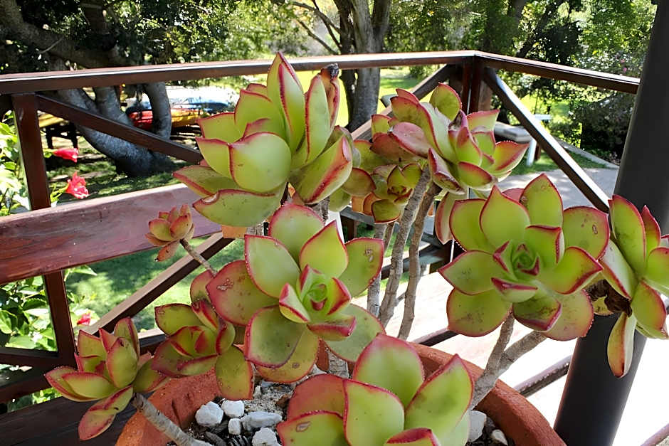 Blackwaters River Lodge