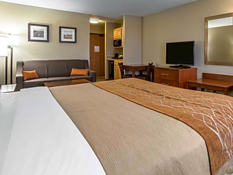 1 Bedroom King Suite