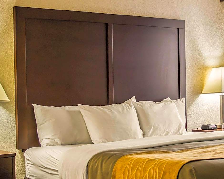 Comfort Inn Birch Run - Frankenmuth