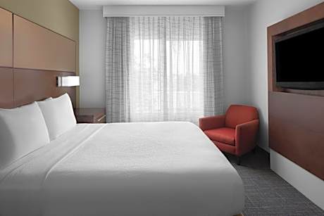 Suite, 1 Bedroom (1 King Bed and 1 Double Sofa Bed)