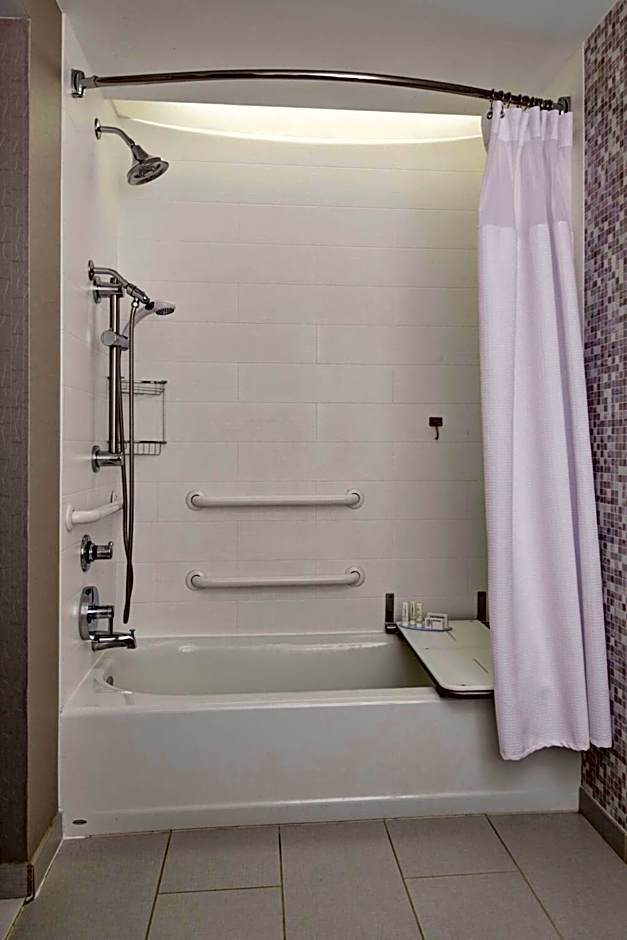 SpringHill Suites by Marriott Detroit Metro Airport Romulus
