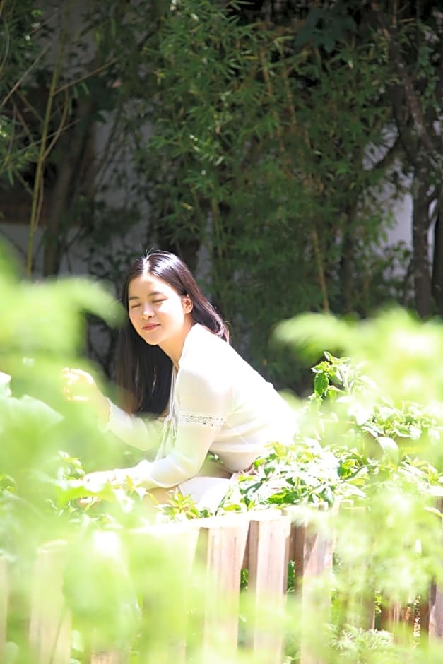 Arro Khampa by Zinc Journey Lijiang