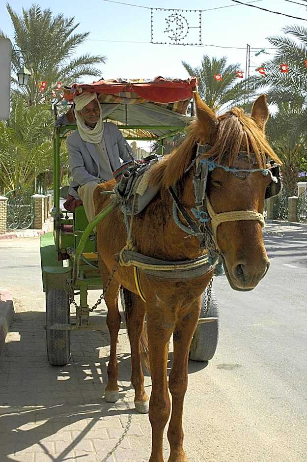 El Mouradi Tozeur