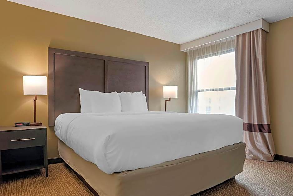 Comfort Inn Opelika - Auburn