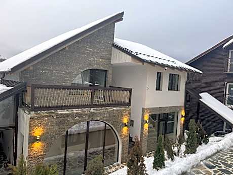 Vila Paradis Predeal