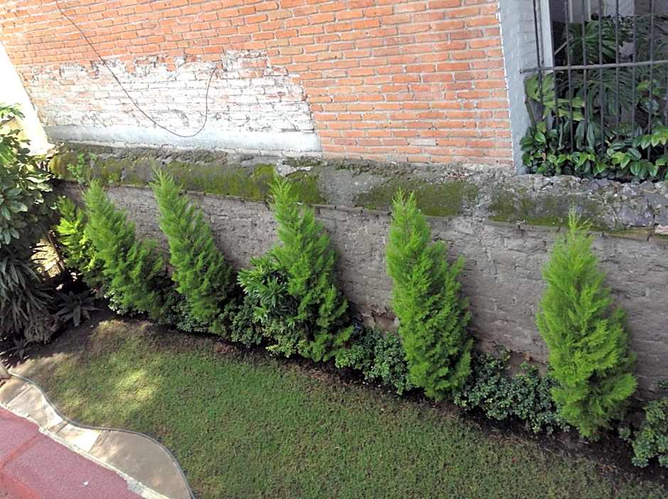 Hostal Centro de Coyoacan