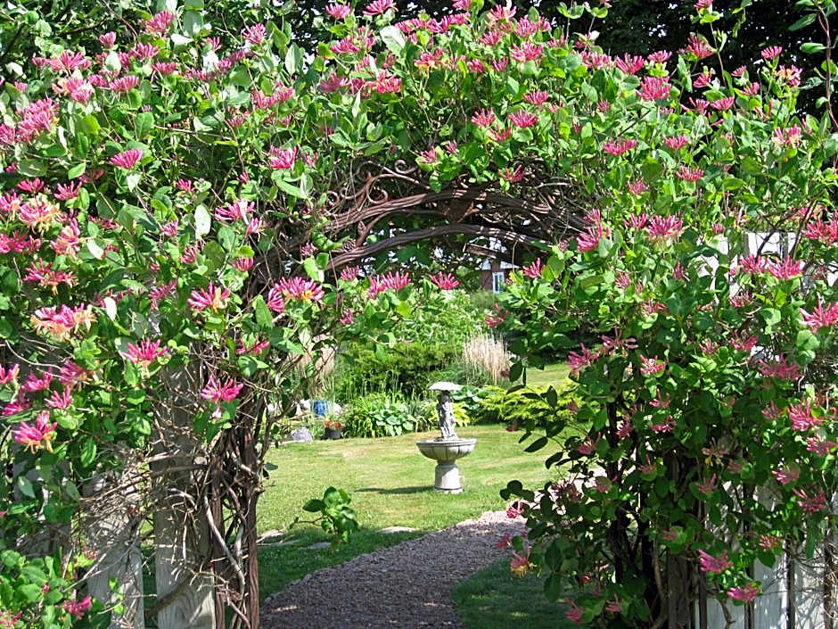 Seascape Coastal Retreat - 2 ADULTS ONLY - HOT TUB AND WITHOUT HOT TUB OCEANFRONT PROPERTY