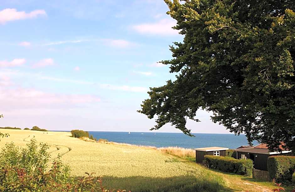 Kridthuset Stevns Klint