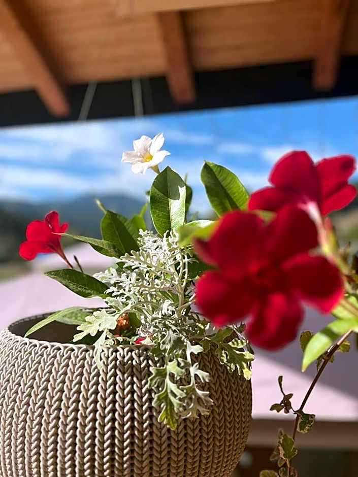 Pensiunea Mireasma Bucovinei