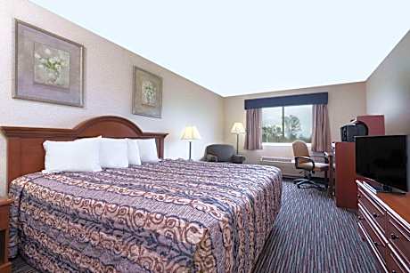 1 King Bed Deluxe Studio Suite Pool View Non-Smoking