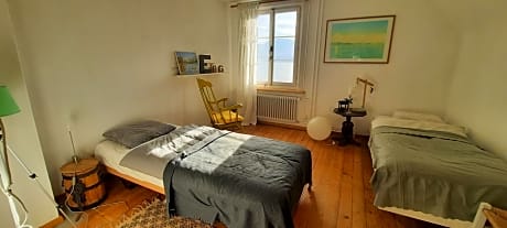 Double or Twin Room with Lake View