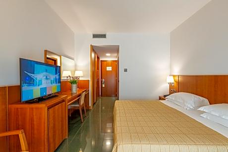 Superior Double Room (1 Adult)
