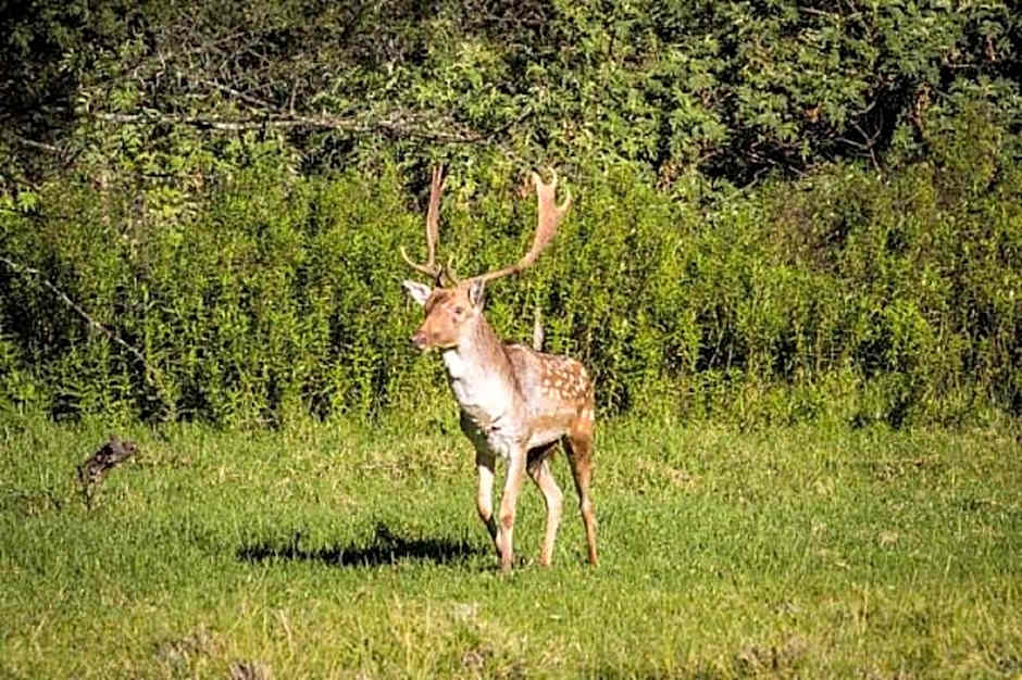 Old Mill Lodge, Working Ostrich Farm & Restaurant, Oudtshoorn