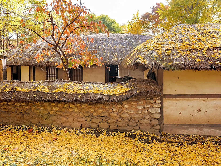 Ibis Ambassador Suwon