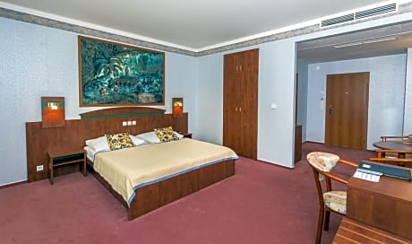 Double Room with Entertainment Package (Only Adults)