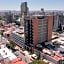 Eucalipto Flat Witgdl