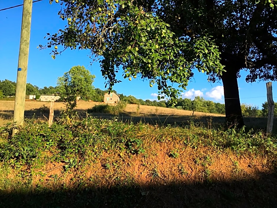 Le clos de rose