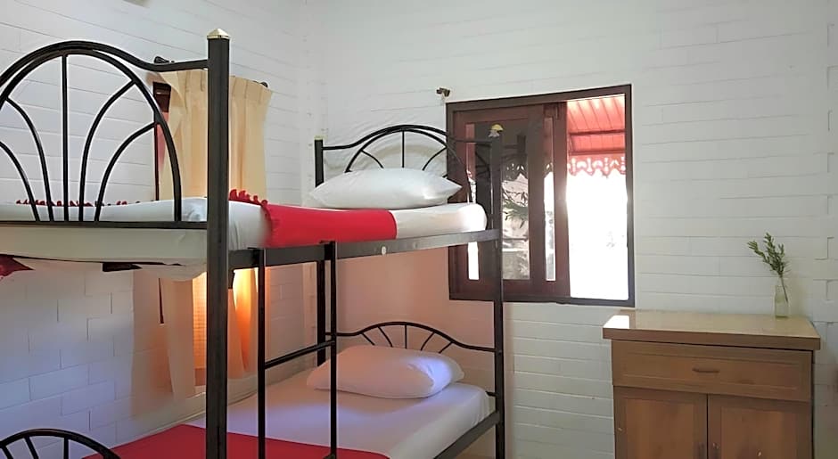 Monkey Samui Hostel