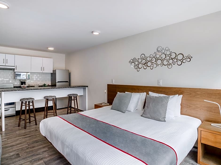 OM 686 URBAN LOFTS Narvarte