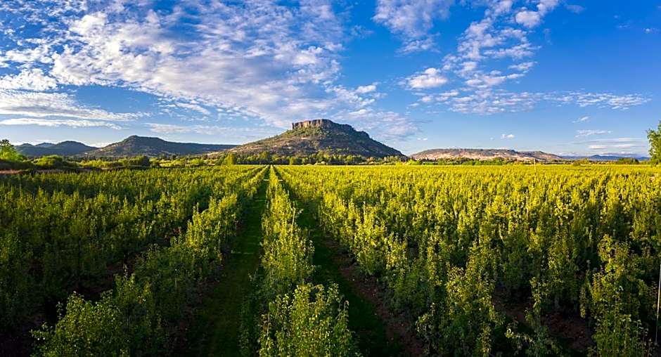 Holiday Inn Express Hotel and Suites Medford-Central Point By IHG