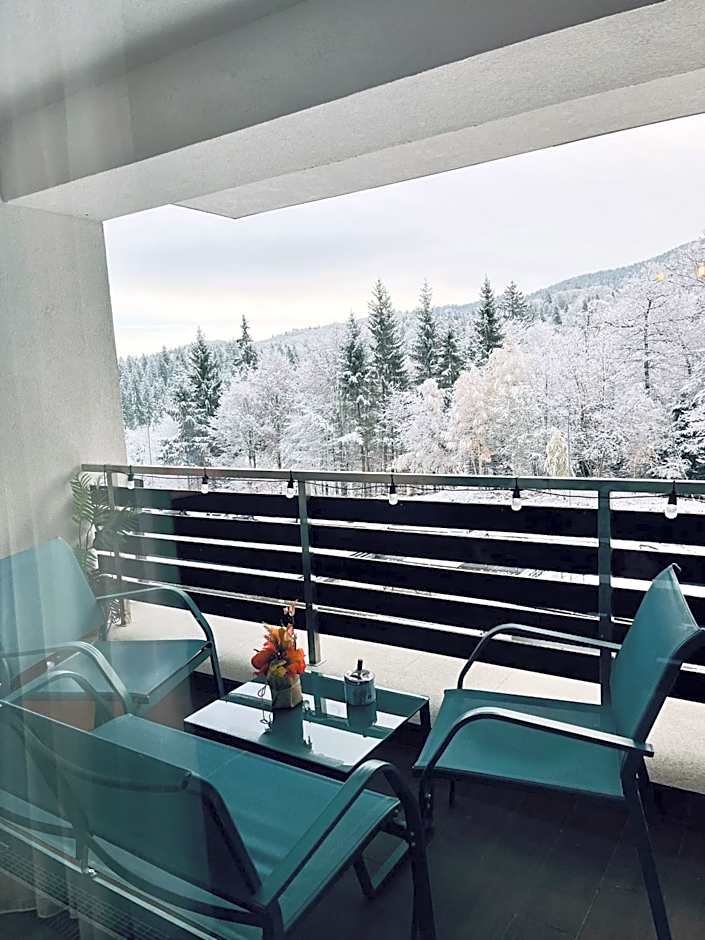 Mountain Nest in Silver Mountain Poiana Brasov