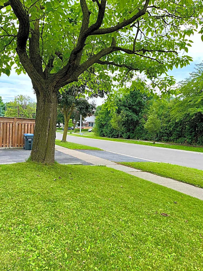 Entire Basement Apartment in Mississauga, Etobicoke