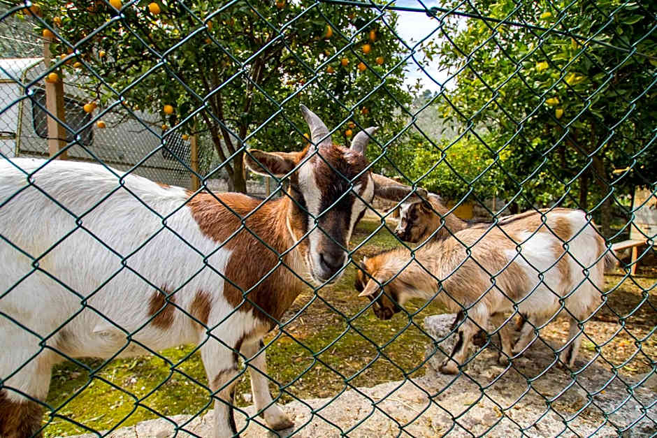 Village Valle D'Oro ApartHotel