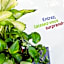 ibis Styles Perpignan Canet En Roussillon