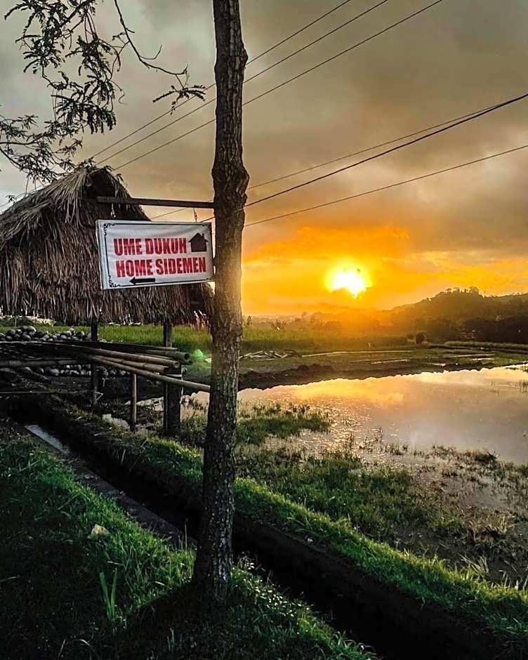 Ume Dukuh Home Sidemen