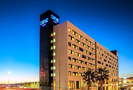 One Chihuahua Fashion Mall