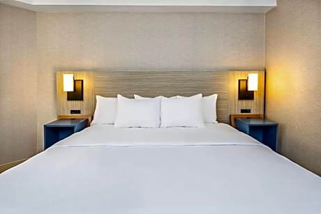 Deluxe King Room with Sofa Bed - Ground Floor