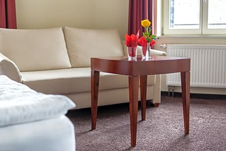 One-room-apartment with kitchenette and sofa bed