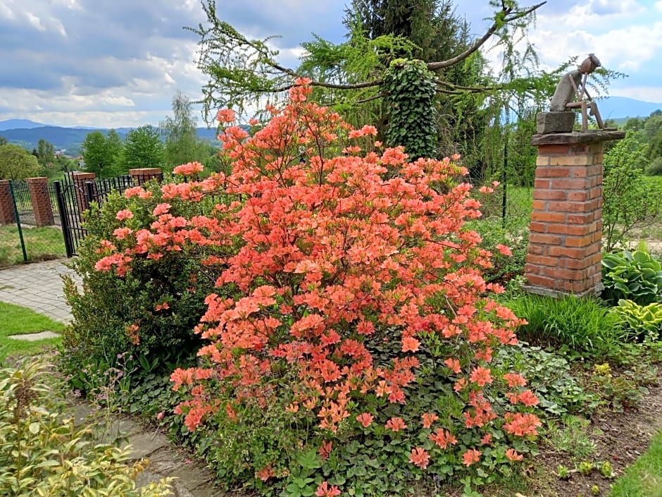 Dom wakacyjny Podlas