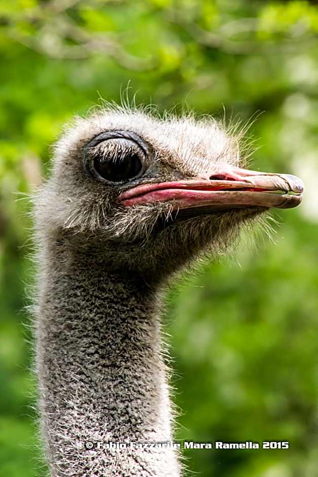 Agriturismo Parco Campofelice